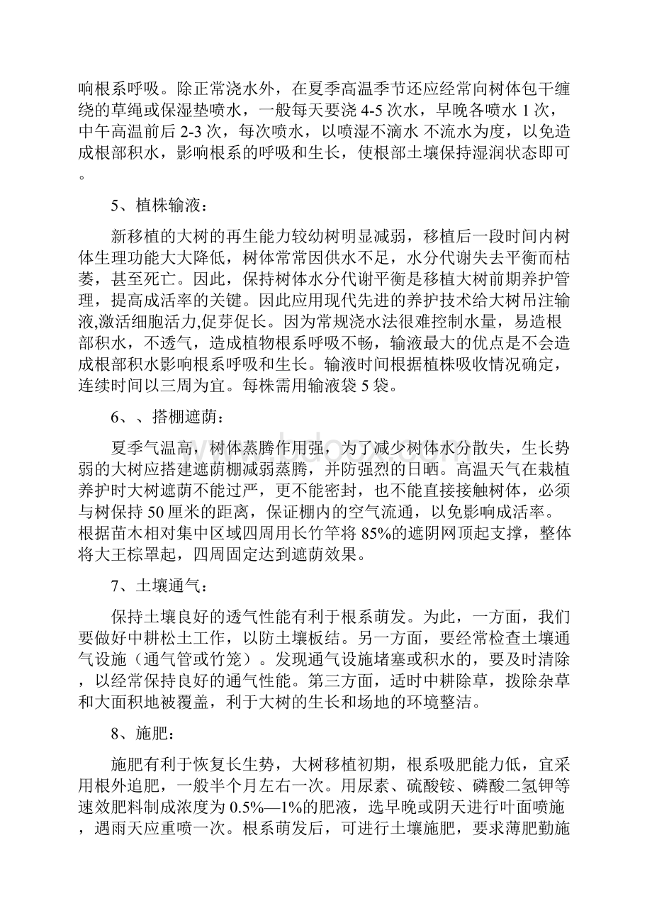 大王棕及大树养护方案1.docx_第3页