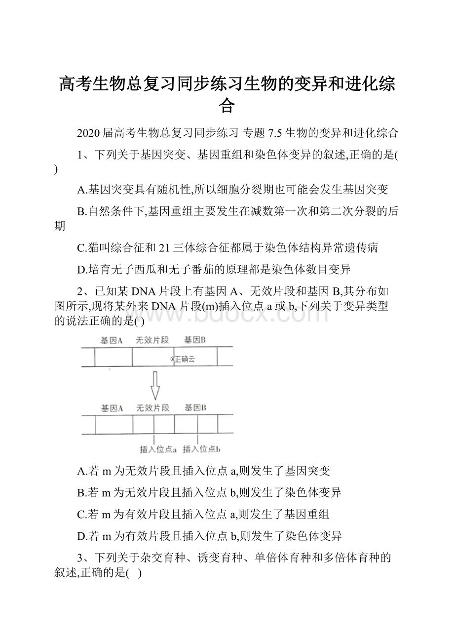 高考生物总复习同步练习生物的变异和进化综合.docx