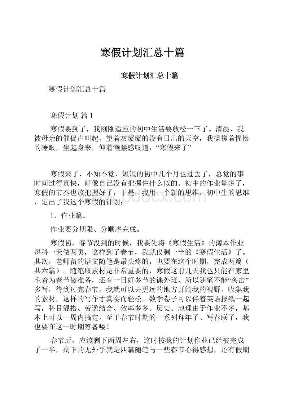 寒假计划汇总十篇.docx_第1页