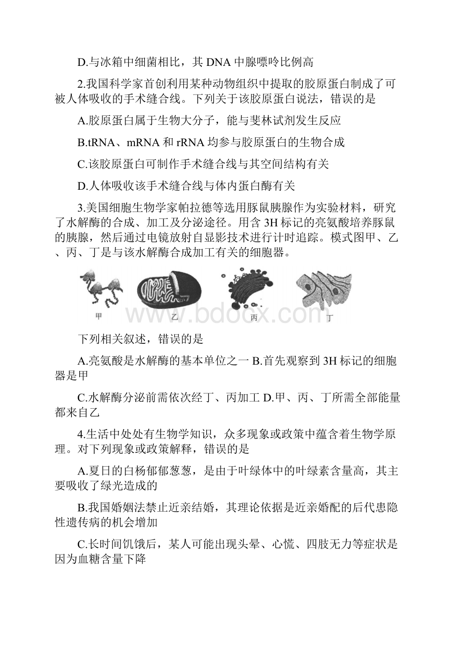 河北省唐山市届高三上学期第一次摸底考试生物试题 含答案.docx_第2页