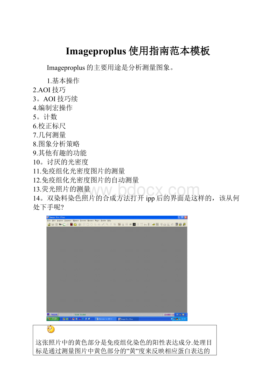 Imageproplus使用指南范本模板.docx_第1页