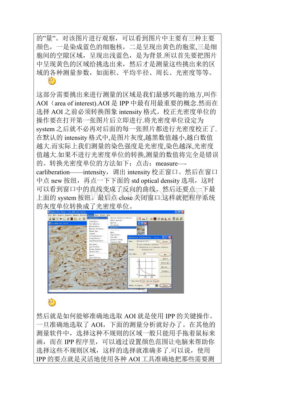 Imageproplus使用指南范本模板.docx_第2页