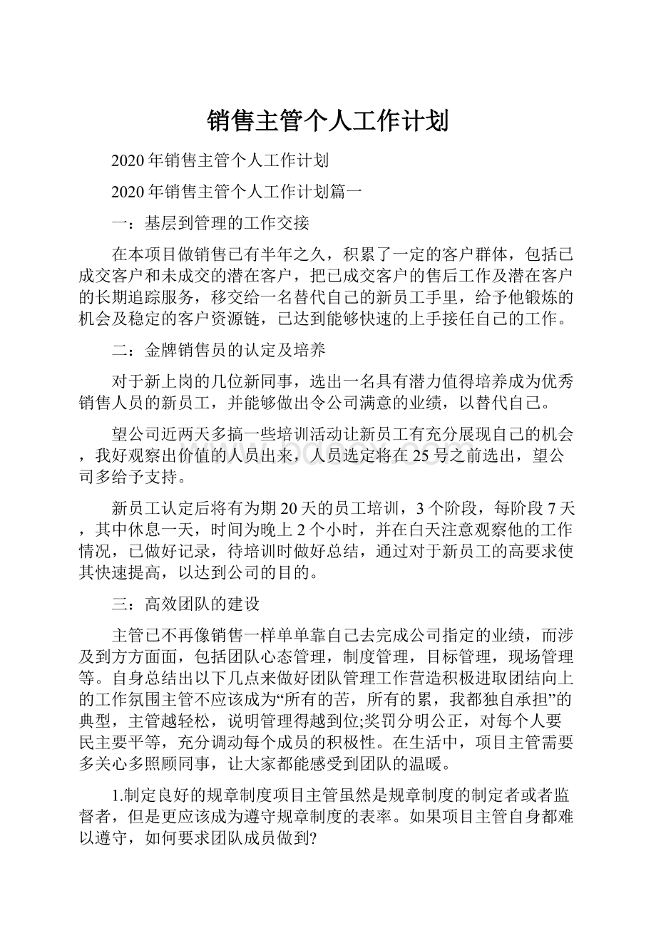 销售主管个人工作计划.docx