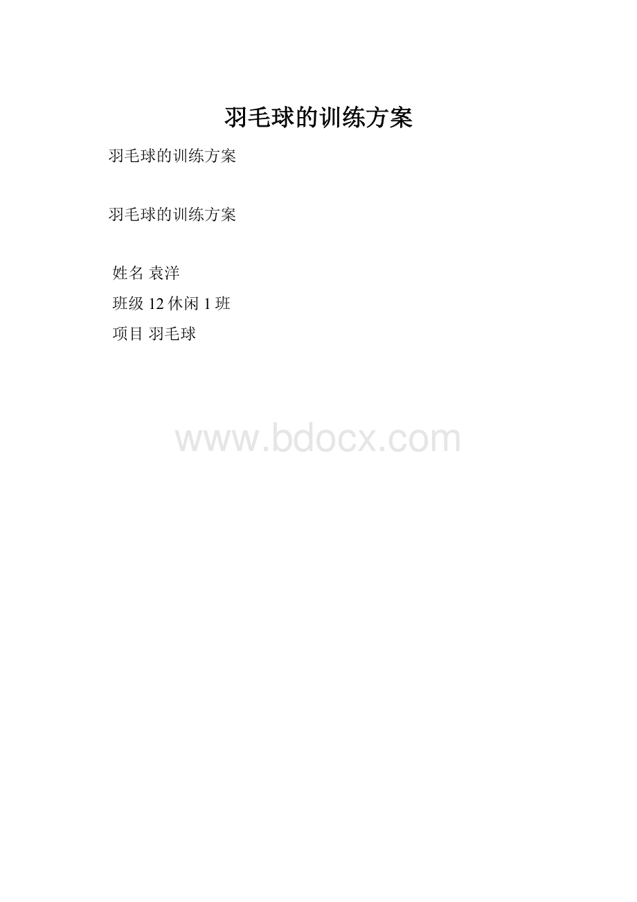 羽毛球的训练方案.docx