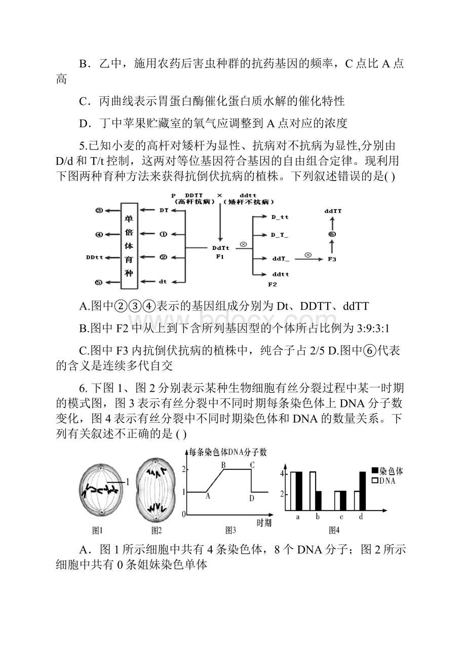 第一次月考理科综合成卷.docx_第3页