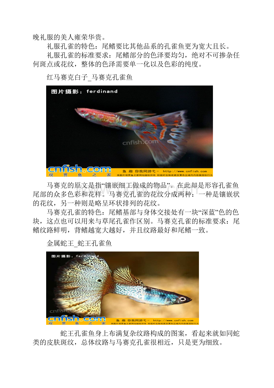 孔雀鱼品种图鉴.docx_第3页