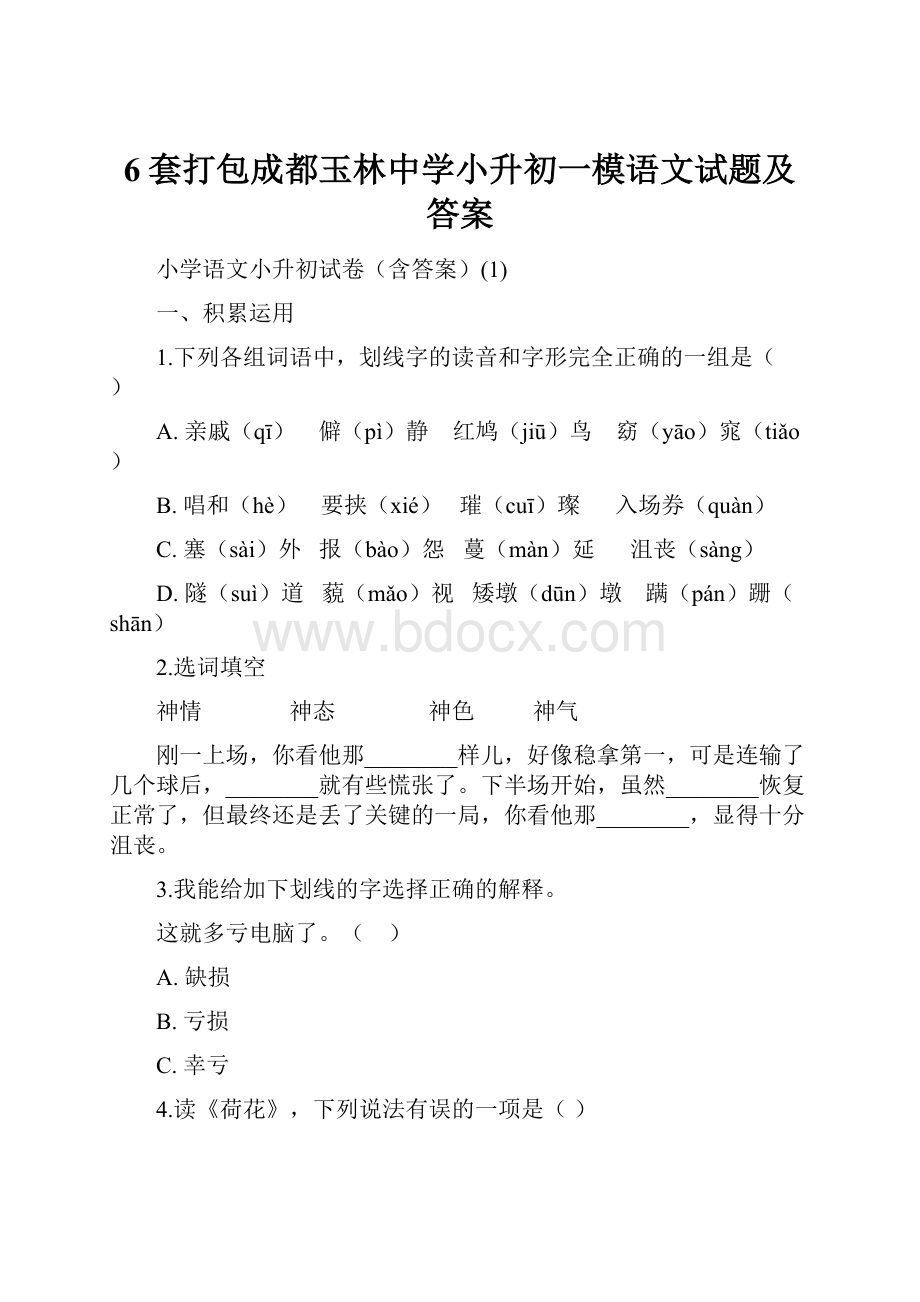 6套打包成都玉林中学小升初一模语文试题及答案.docx_第1页