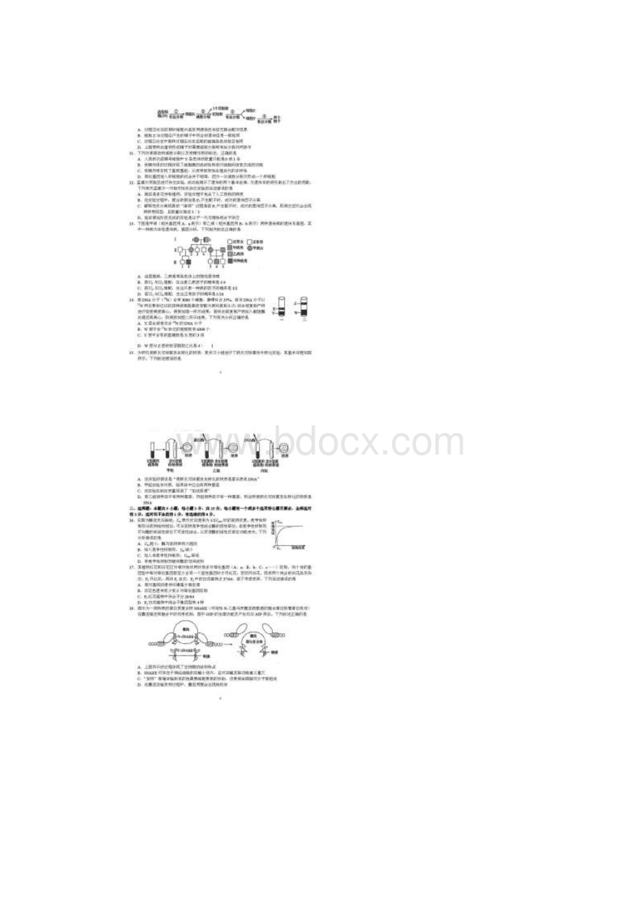 河北省衡水中学届高三年级二调考试 生物试题附答案.docx_第2页