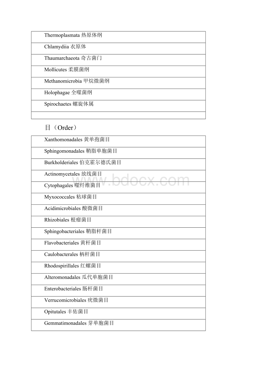 常见微生物的界门纲目科属种中英文对照.docx_第3页