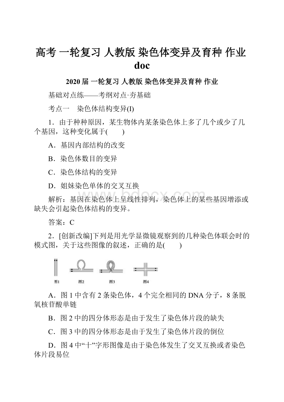 高考 一轮复习人教版 染色体变异及育种作业doc.docx