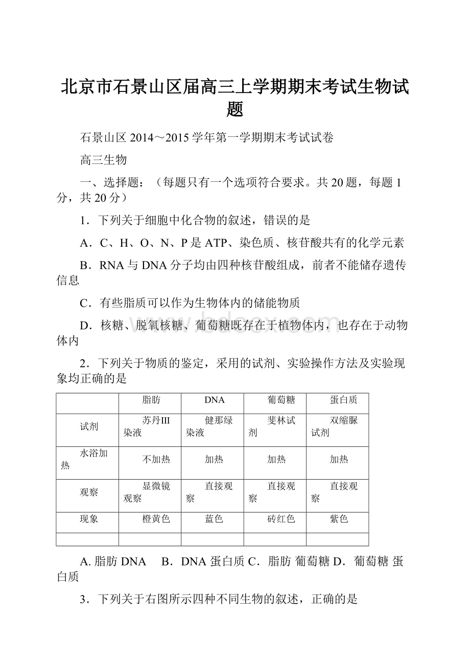 北京市石景山区届高三上学期期末考试生物试题.docx_第1页