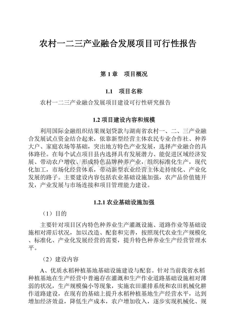 农村一二三产业融合发展项目可行性报告.docx_第1页