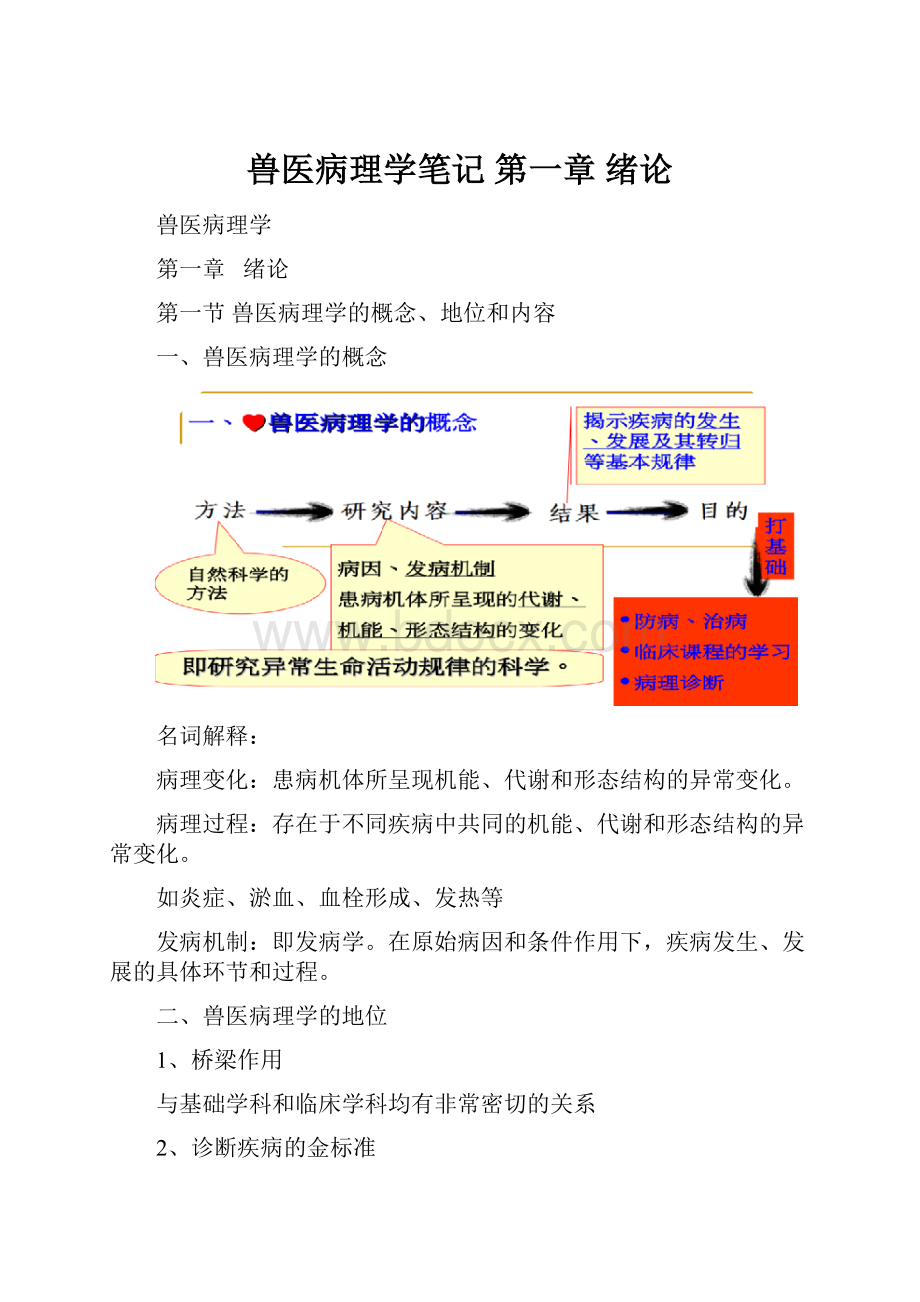 兽医病理学笔记第一章绪论.docx_第1页