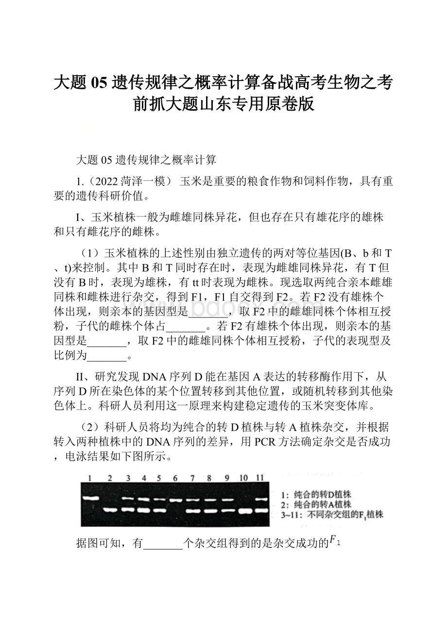 大题05 遗传规律之概率计算备战高考生物之考前抓大题山东专用原卷版.docx