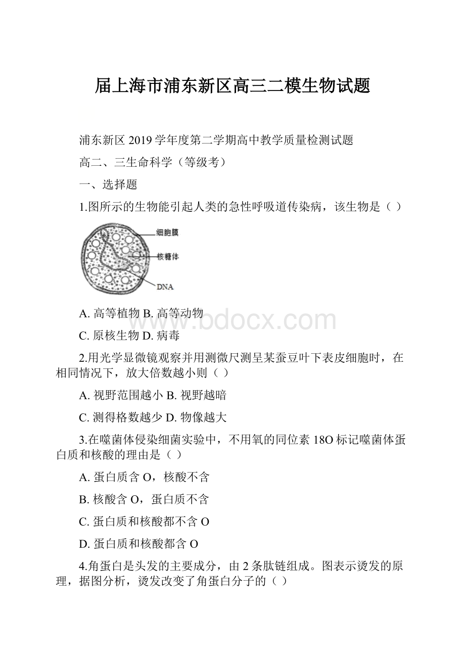 届上海市浦东新区高三二模生物试题Word文档下载推荐.docx_第1页