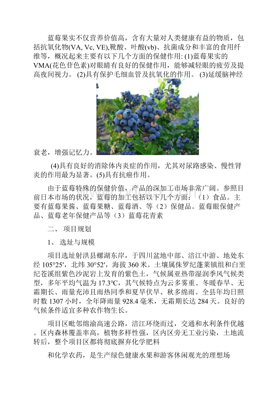 蓝莓种植项目计划书.docx_第2页