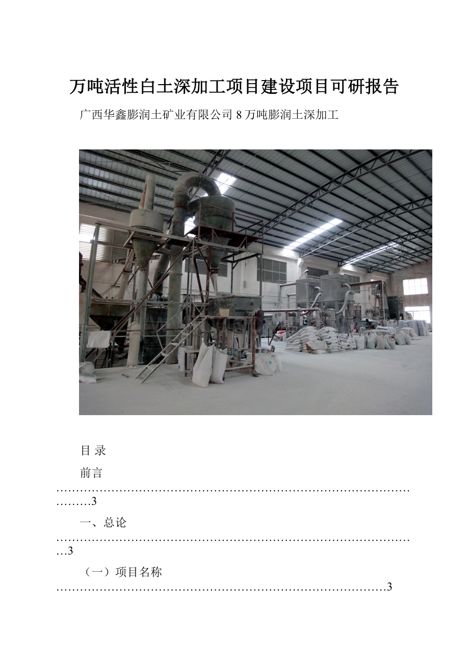 万吨活性白土深加工项目建设项目可研报告.docx_第1页