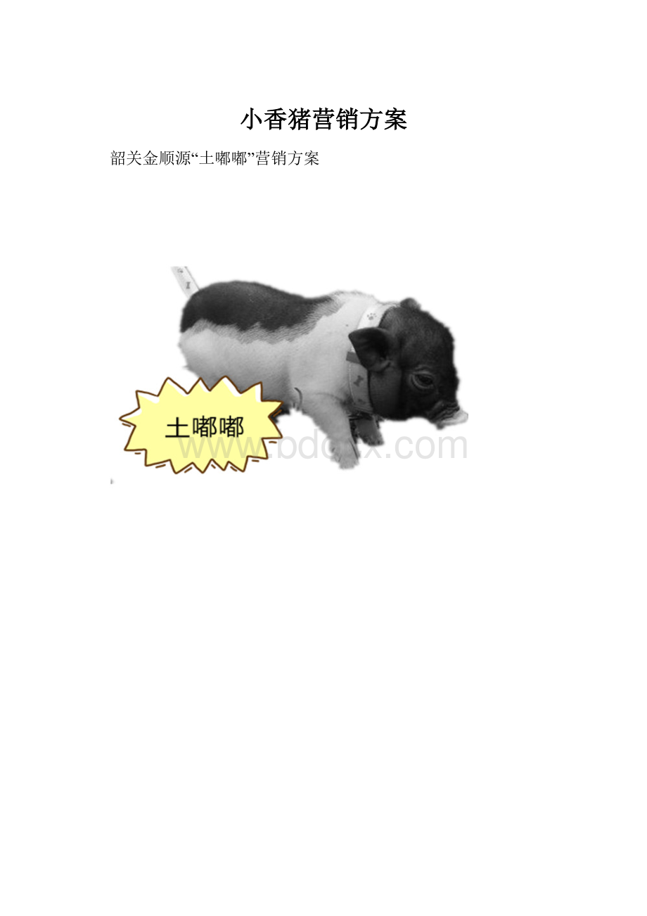 小香猪营销方案.docx