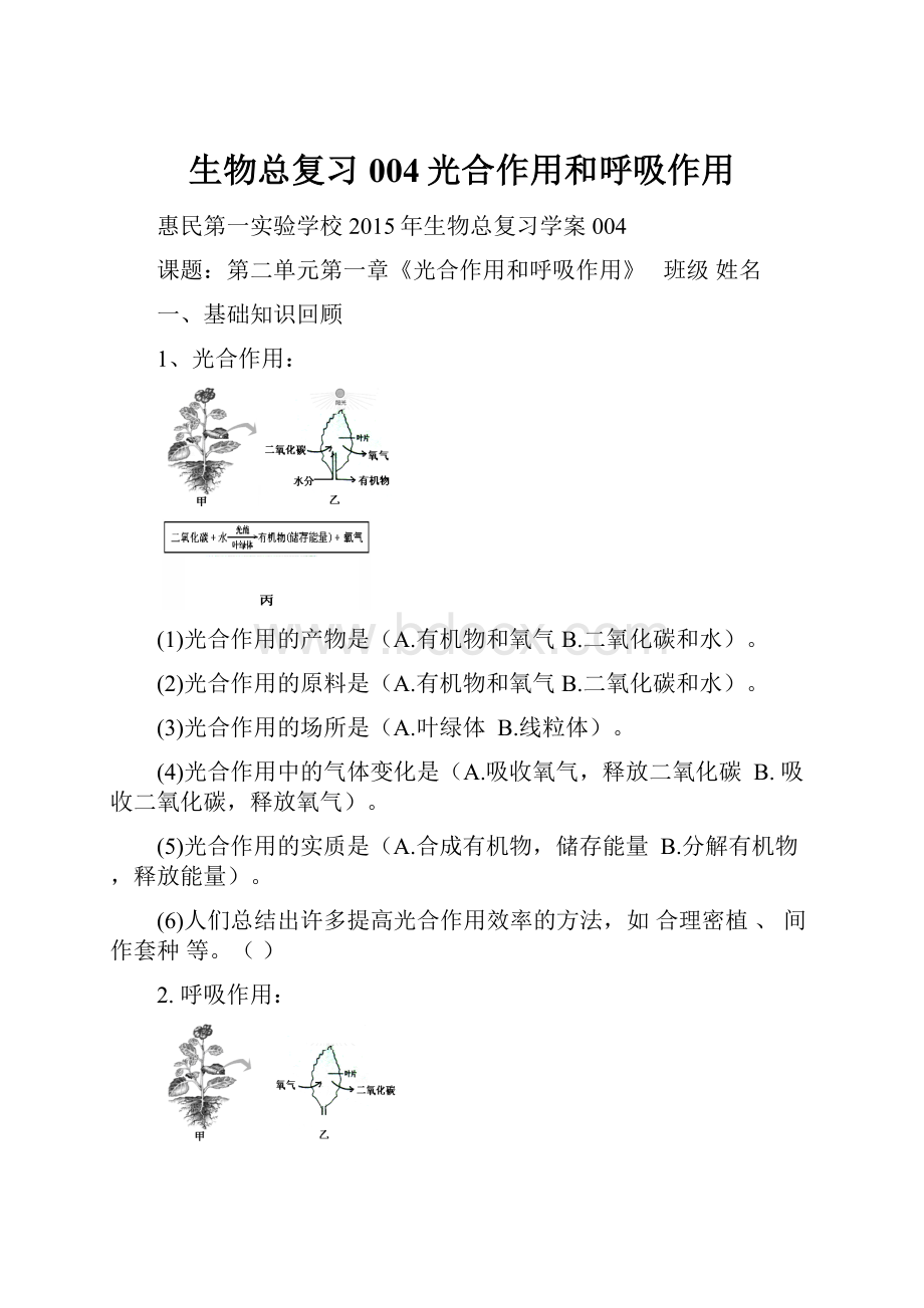 生物总复习004光合作用和呼吸作用.docx