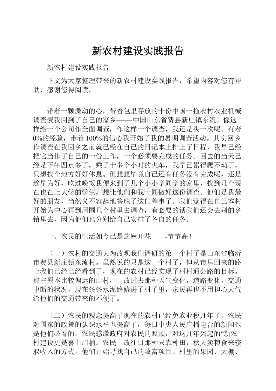 新农村建设实践报告.docx_第1页