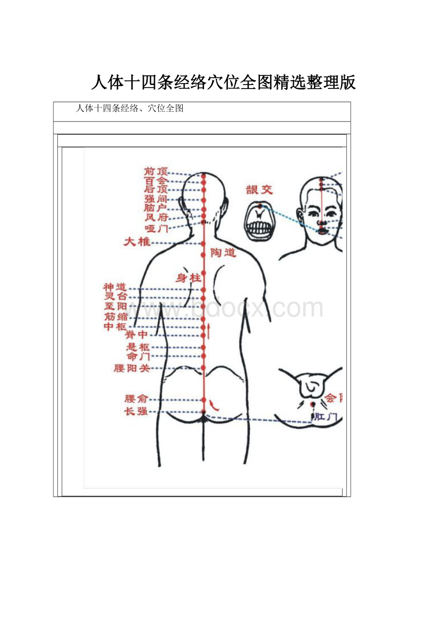 人体十四条经络穴位全图精选整理版Word格式文档下载.docx_第1页