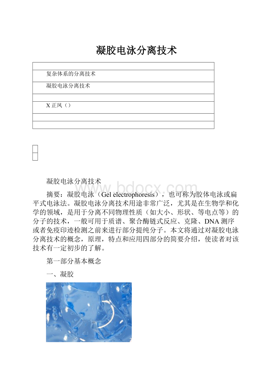 凝胶电泳分离技术.docx_第1页