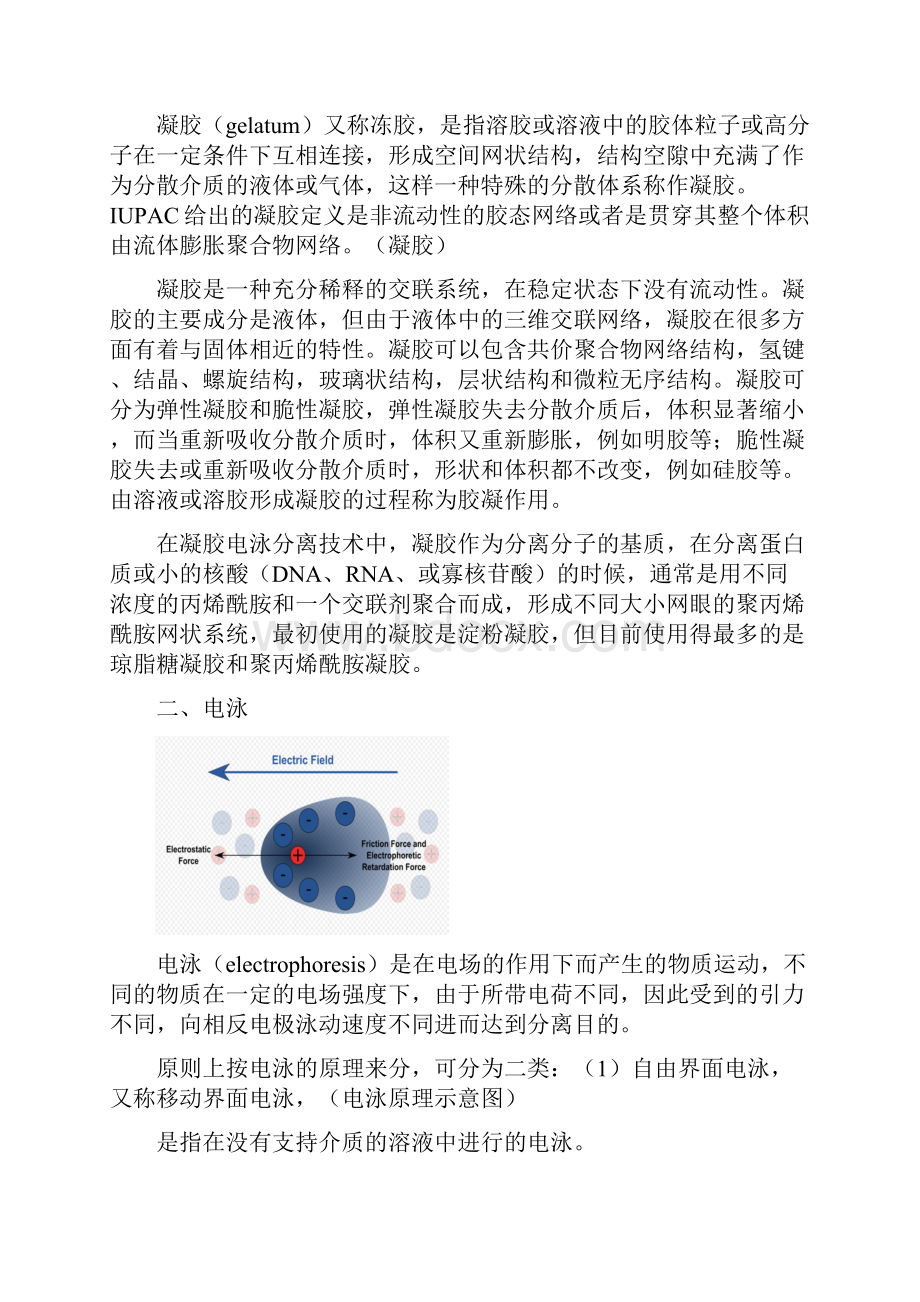 凝胶电泳分离技术Word文档格式.docx_第2页