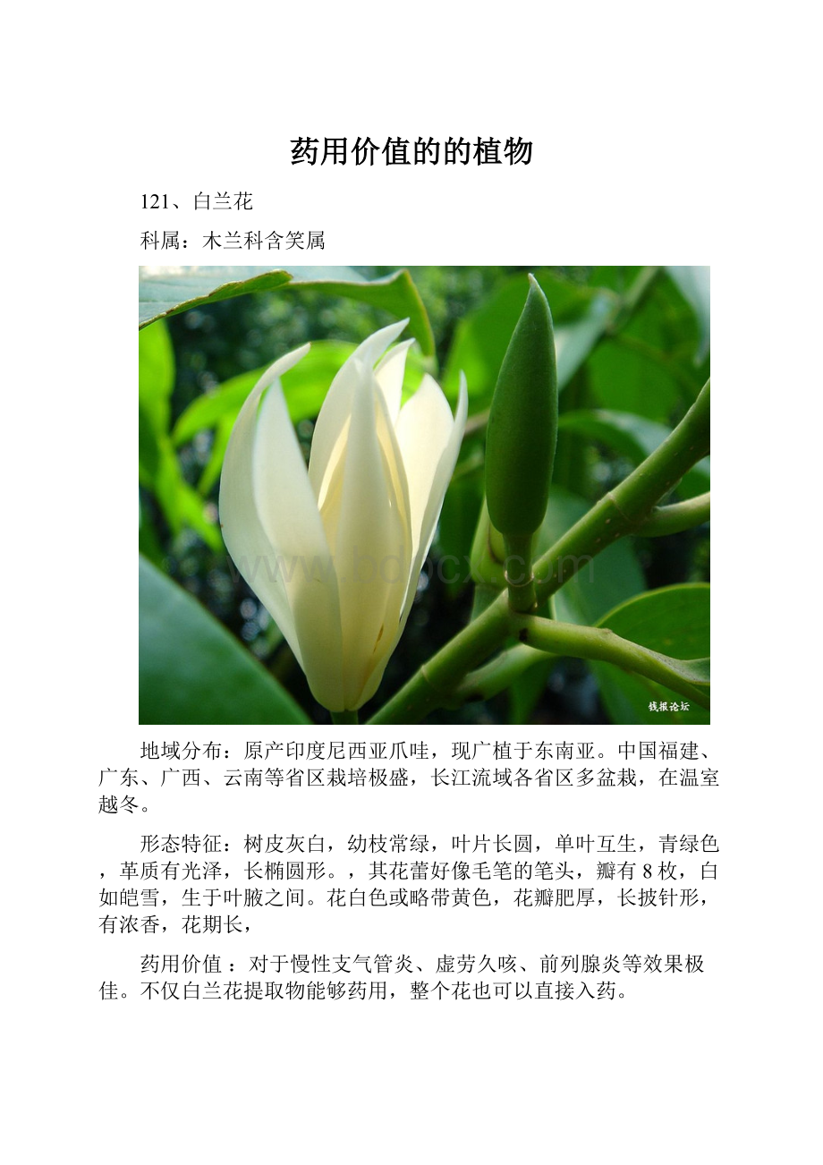 药用价值的的植物.docx_第1页