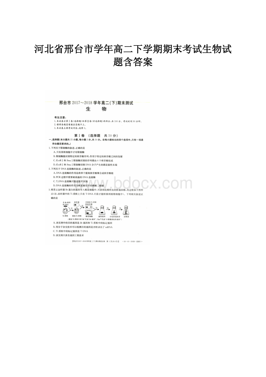 河北省邢台市学年高二下学期期末考试生物试题含答案.docx