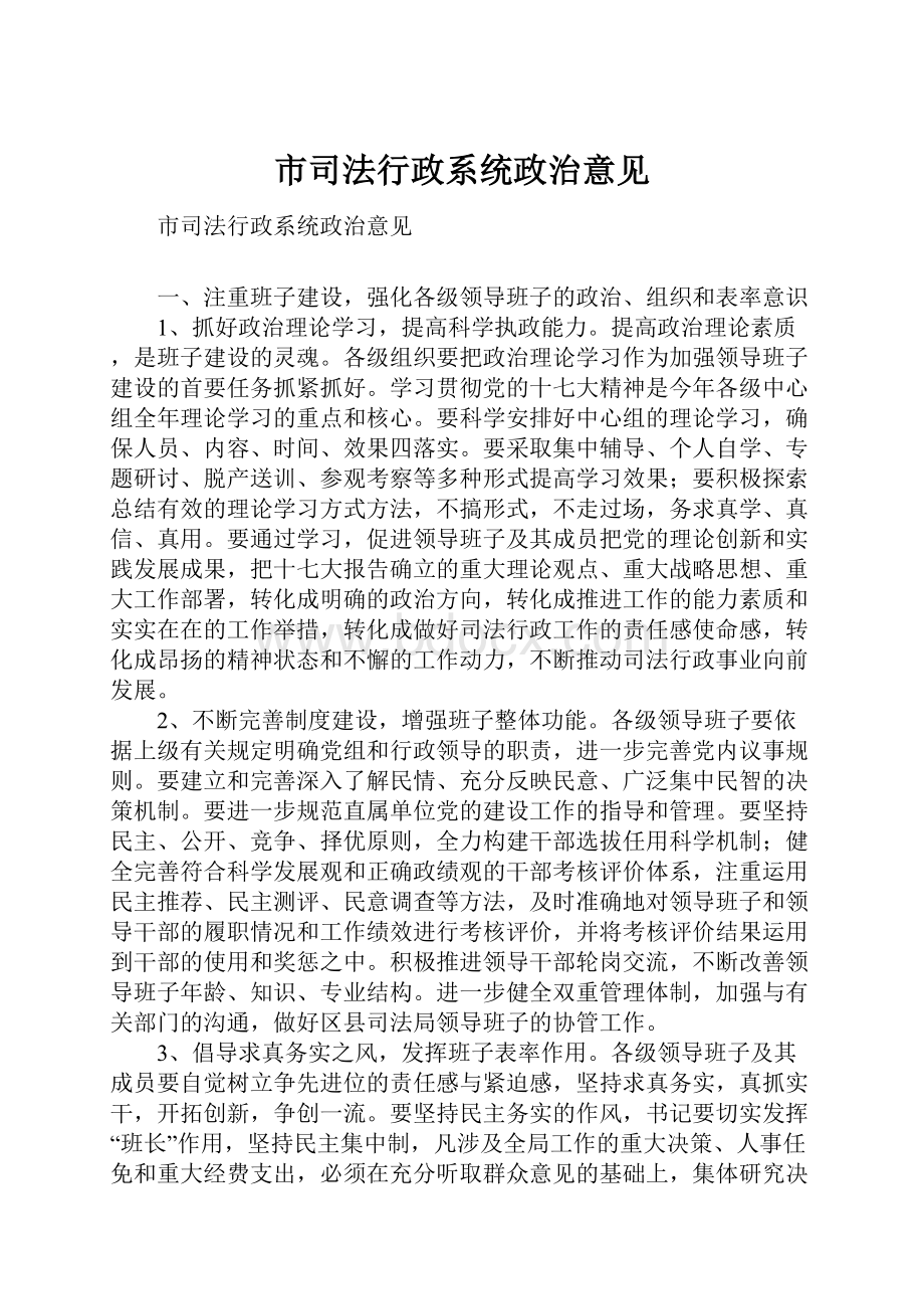 市司法行政系统政治意见.docx