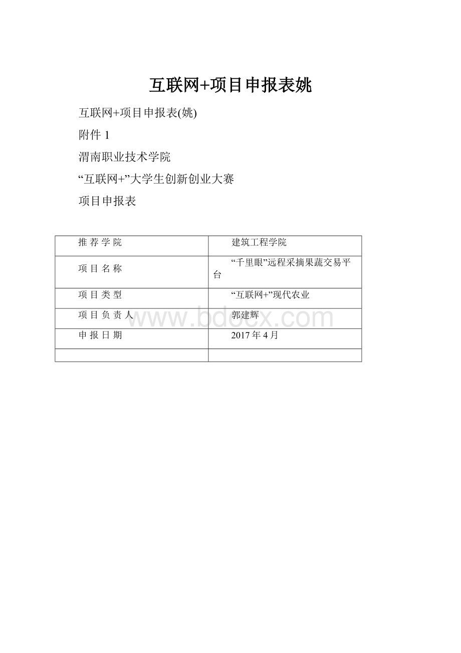 互联网+项目申报表姚.docx