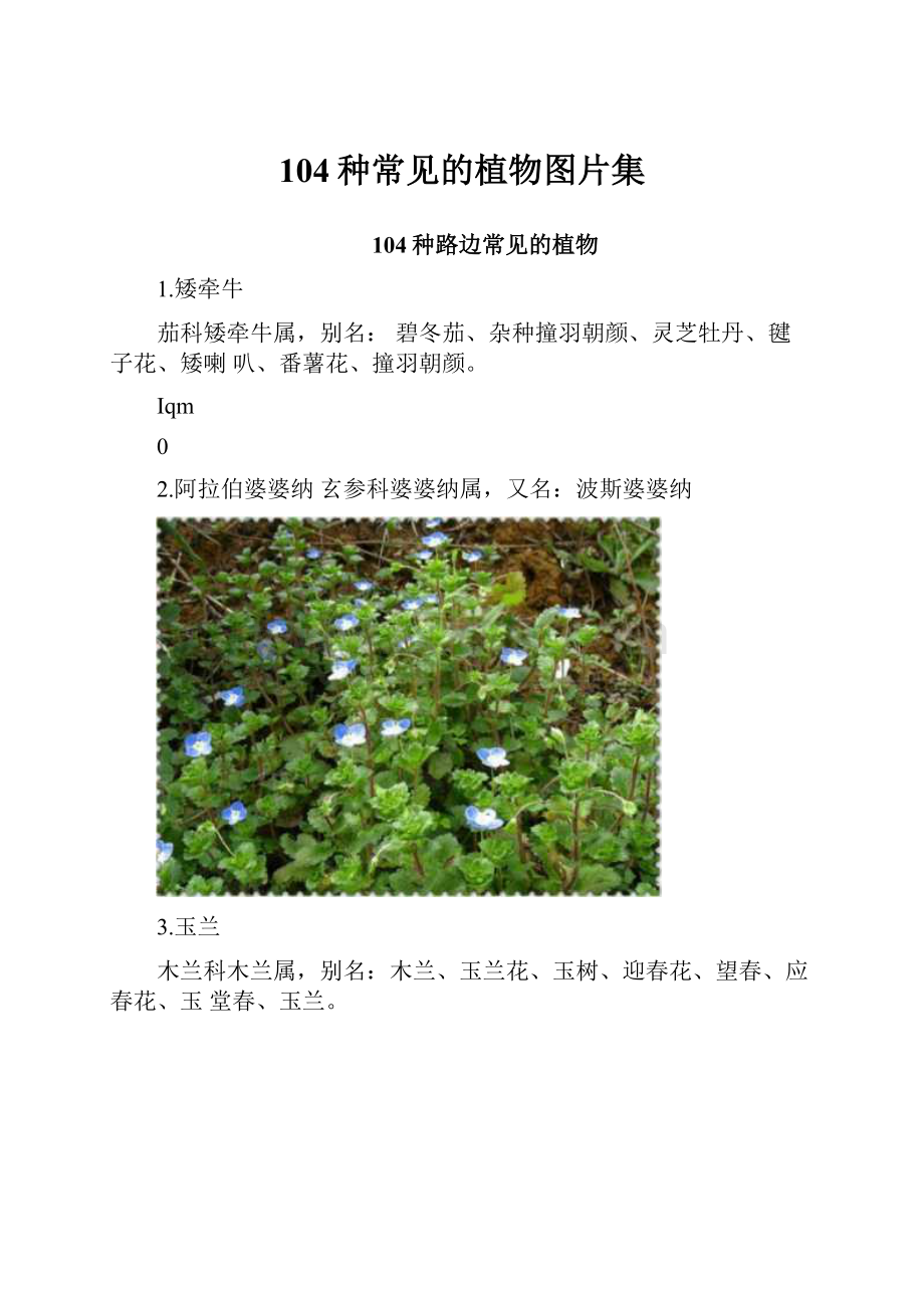 104种常见的植物图片集.docx