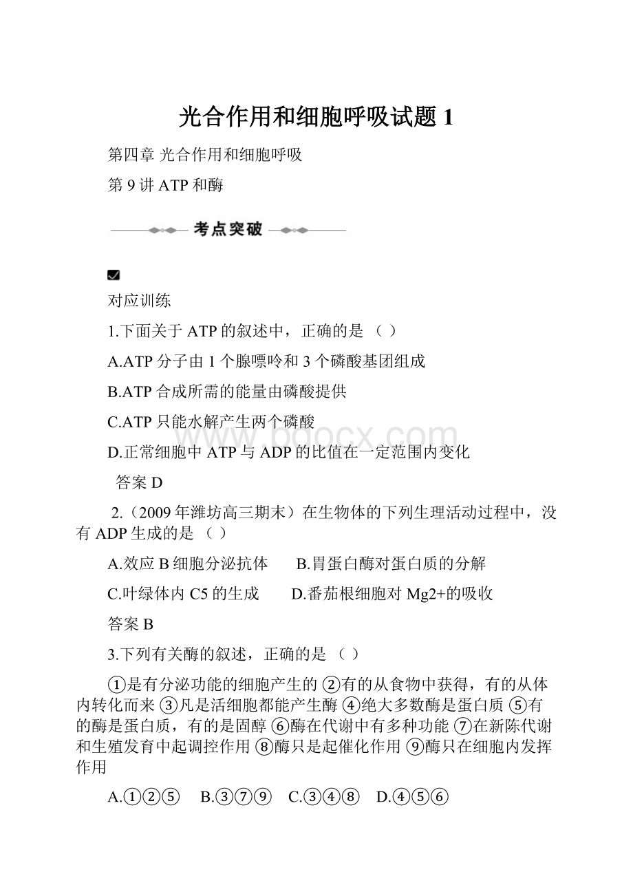 光合作用和细胞呼吸试题1文档格式.docx_第1页