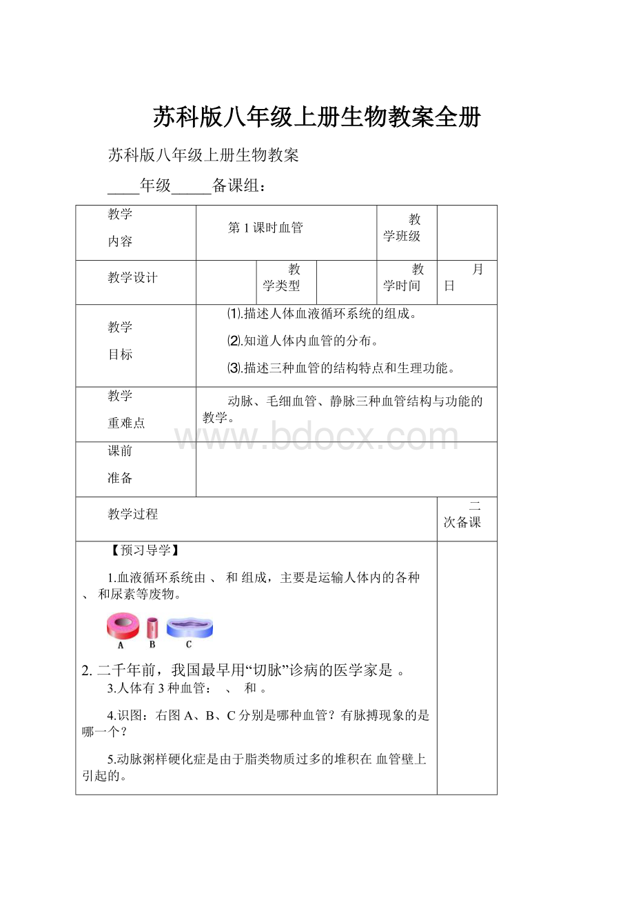 苏科版八年级上册生物教案全册Word文件下载.docx