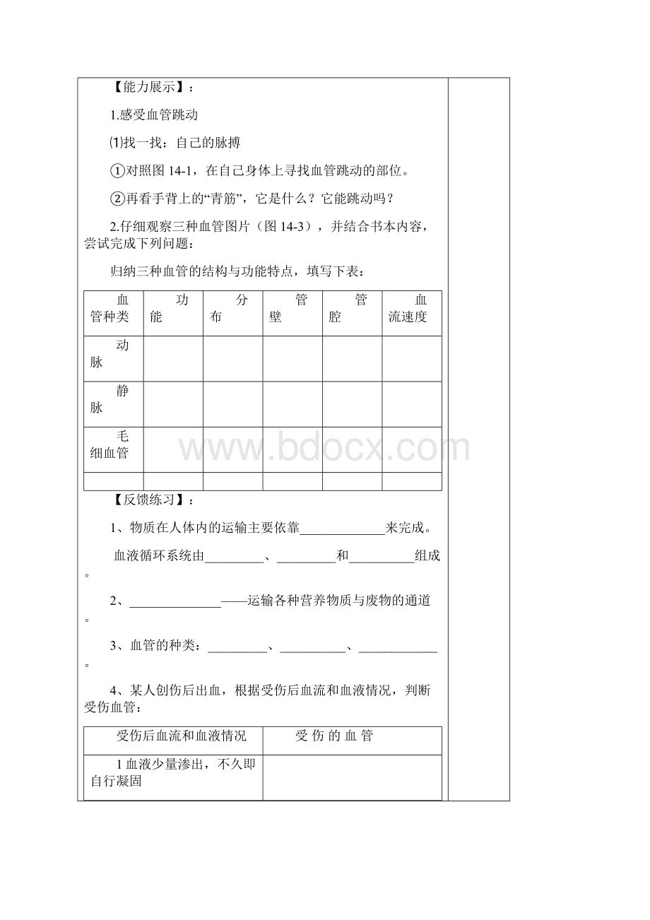 苏科版八年级上册生物教案全册Word文件下载.docx_第2页