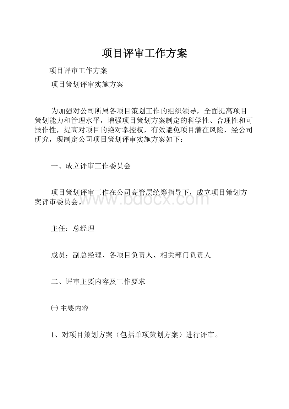 项目评审工作方案.docx