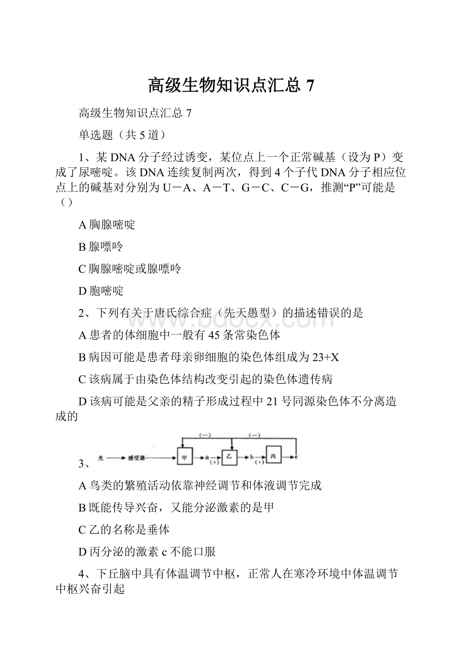 高级生物知识点汇总7.docx_第1页