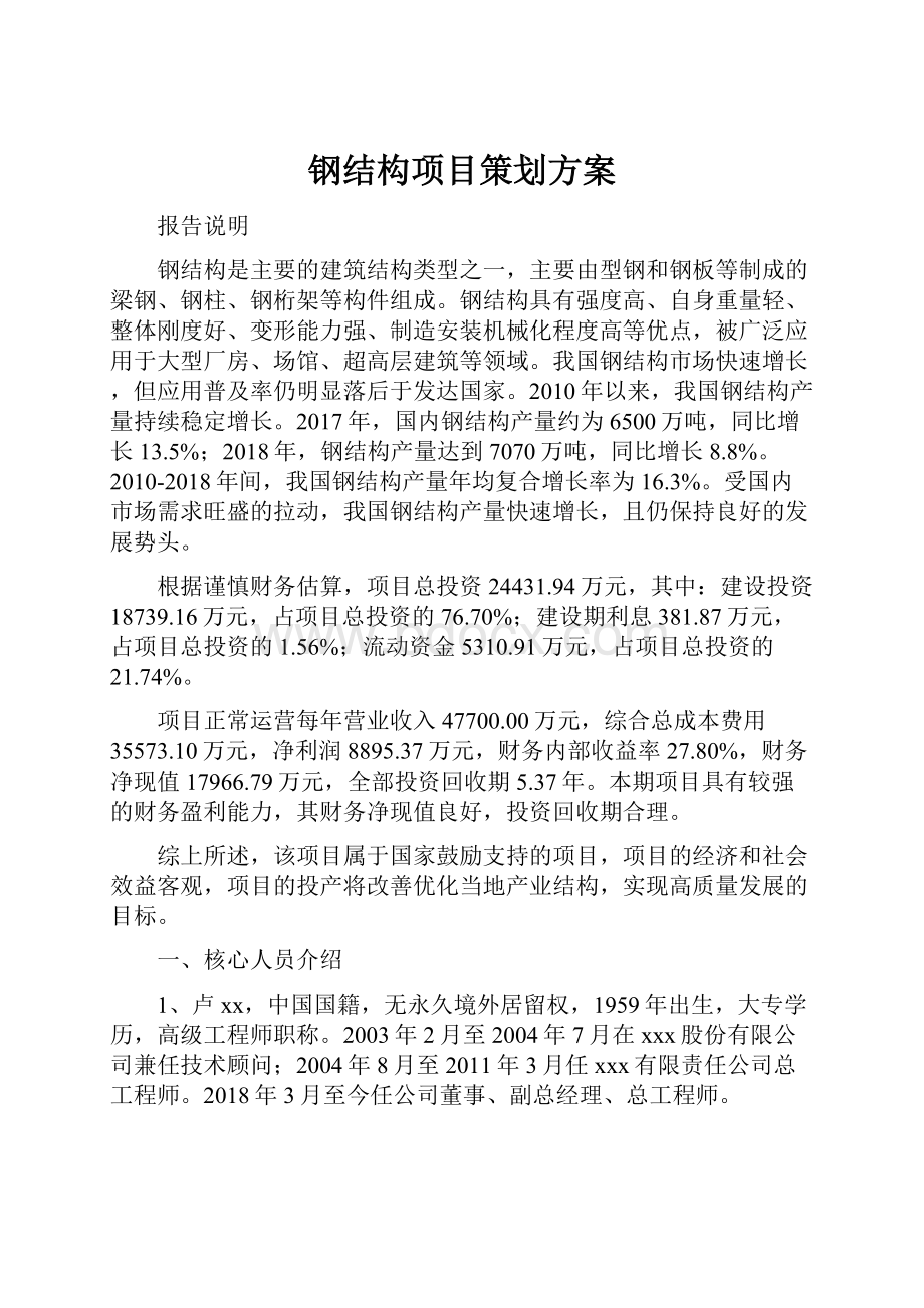 钢结构项目策划方案.docx