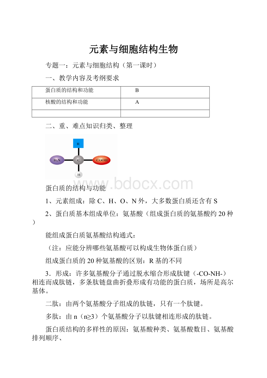 元素与细胞结构生物.docx