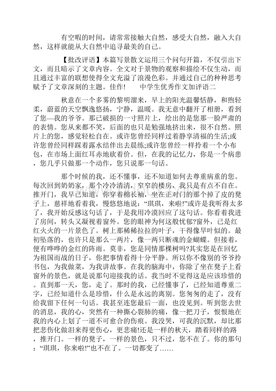 中学生优秀作文加评语 带评语的作文.docx_第3页