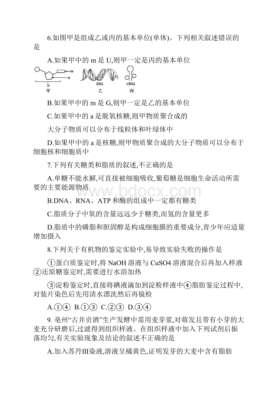 下期衡阳市一中高一期末考试生物试题.docx_第3页