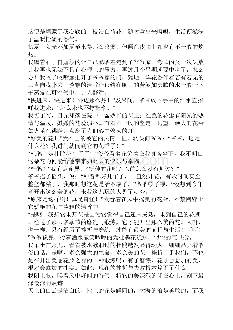 珍藏在心中的美作文.docx_第2页