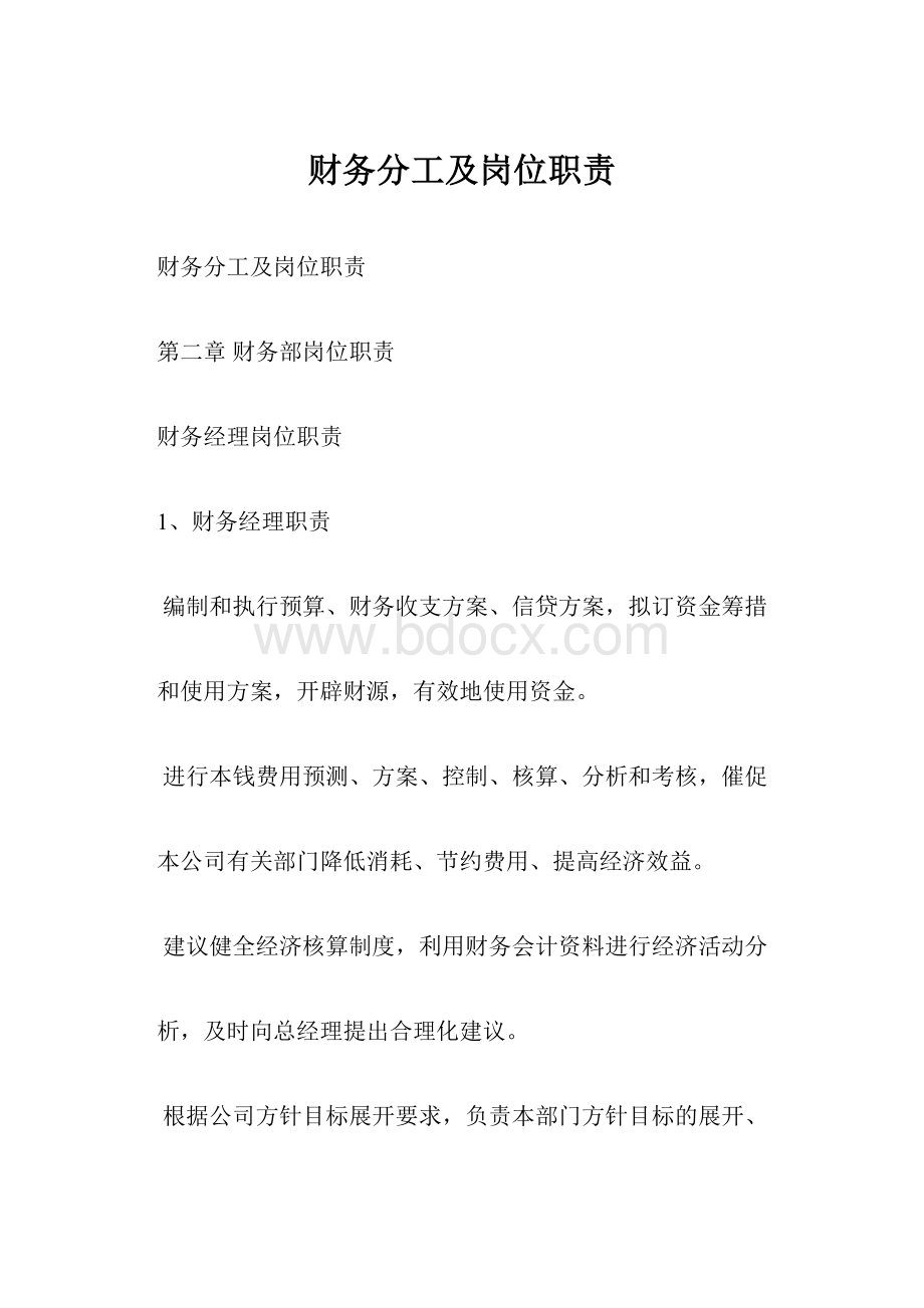 财务分工及岗位职责.docx