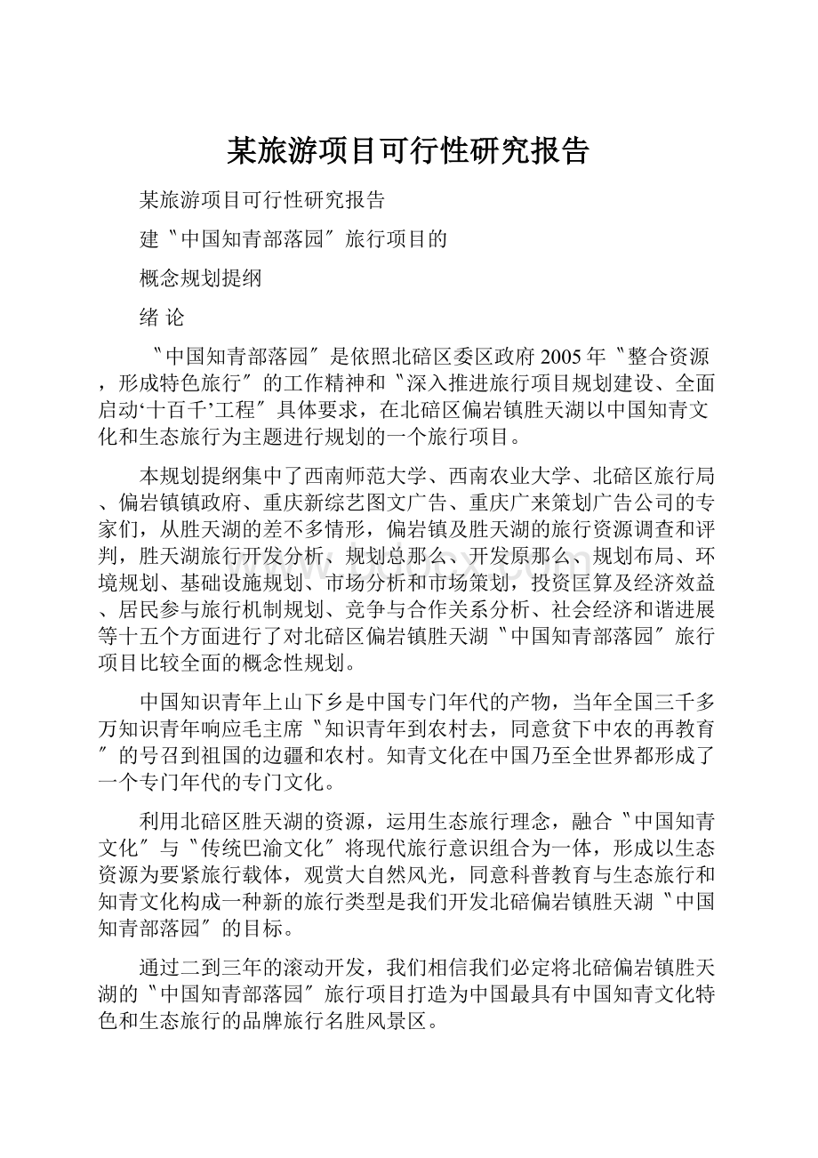 某旅游项目可行性研究报告.docx