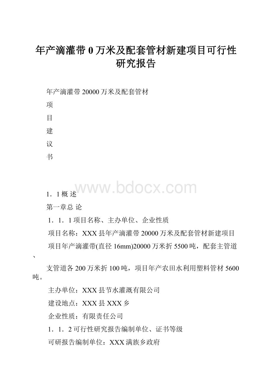 年产滴灌带0万米及配套管材新建项目可行性研究报告.docx_第1页