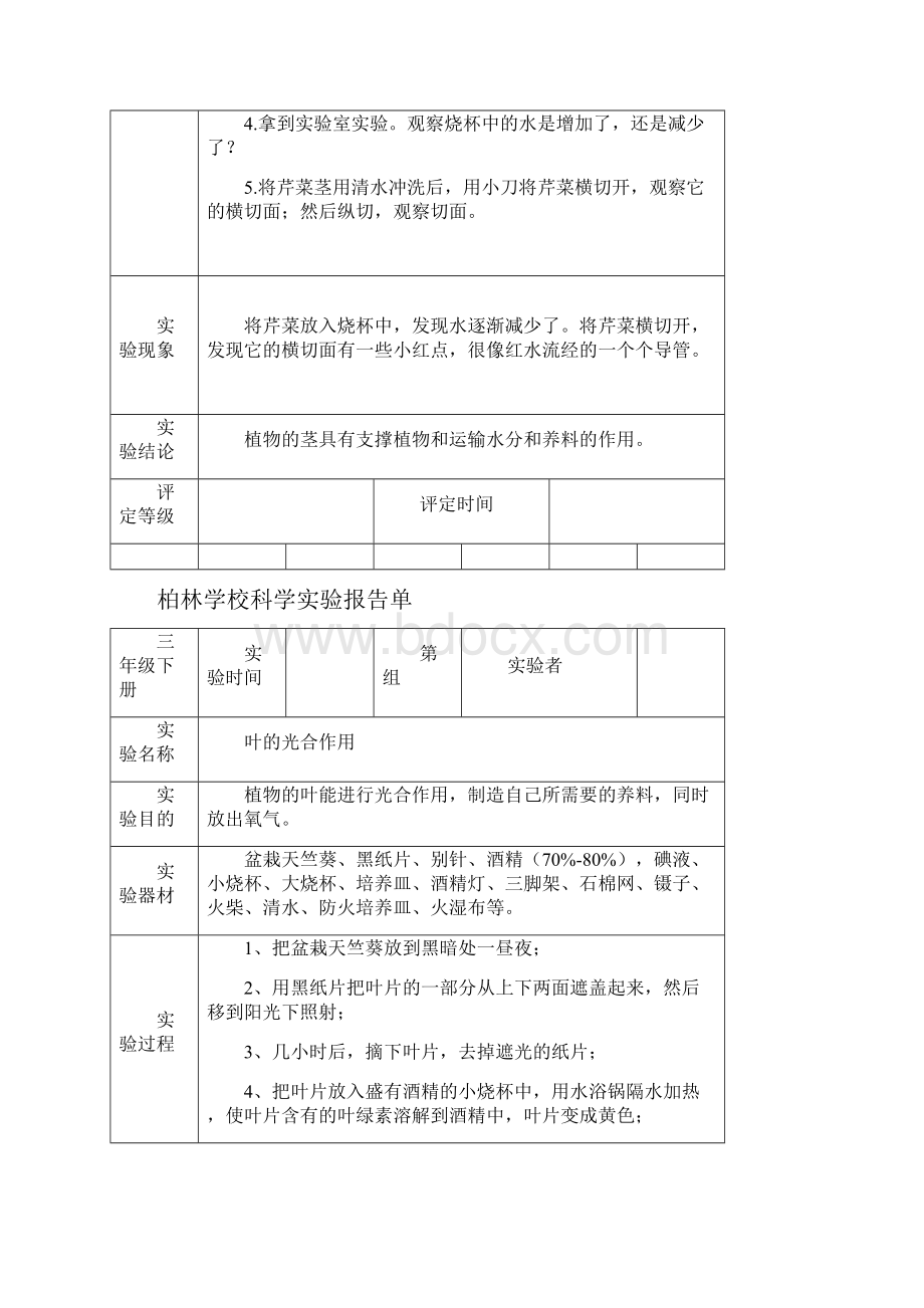 教科版三年级科学下册实验报告单新汇编.docx_第3页