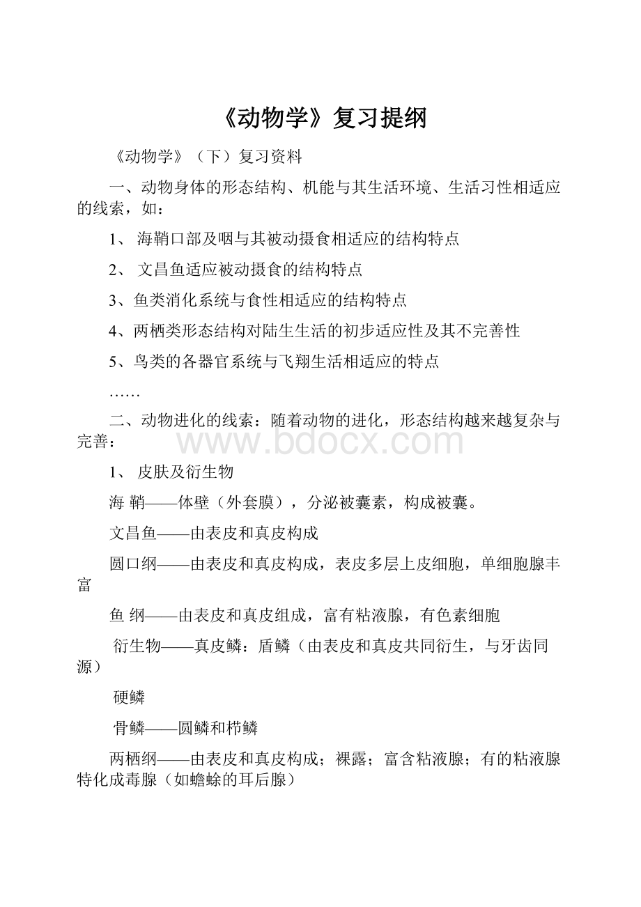 《动物学》复习提纲Word文件下载.docx