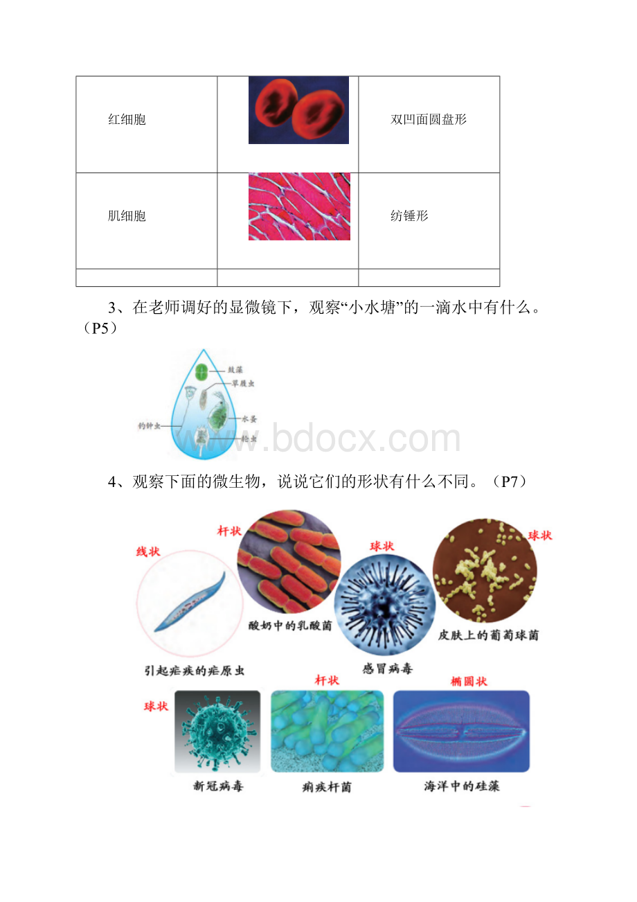 新改版苏教版五年级下册科学知识点附问答题总结Word格式.docx_第3页