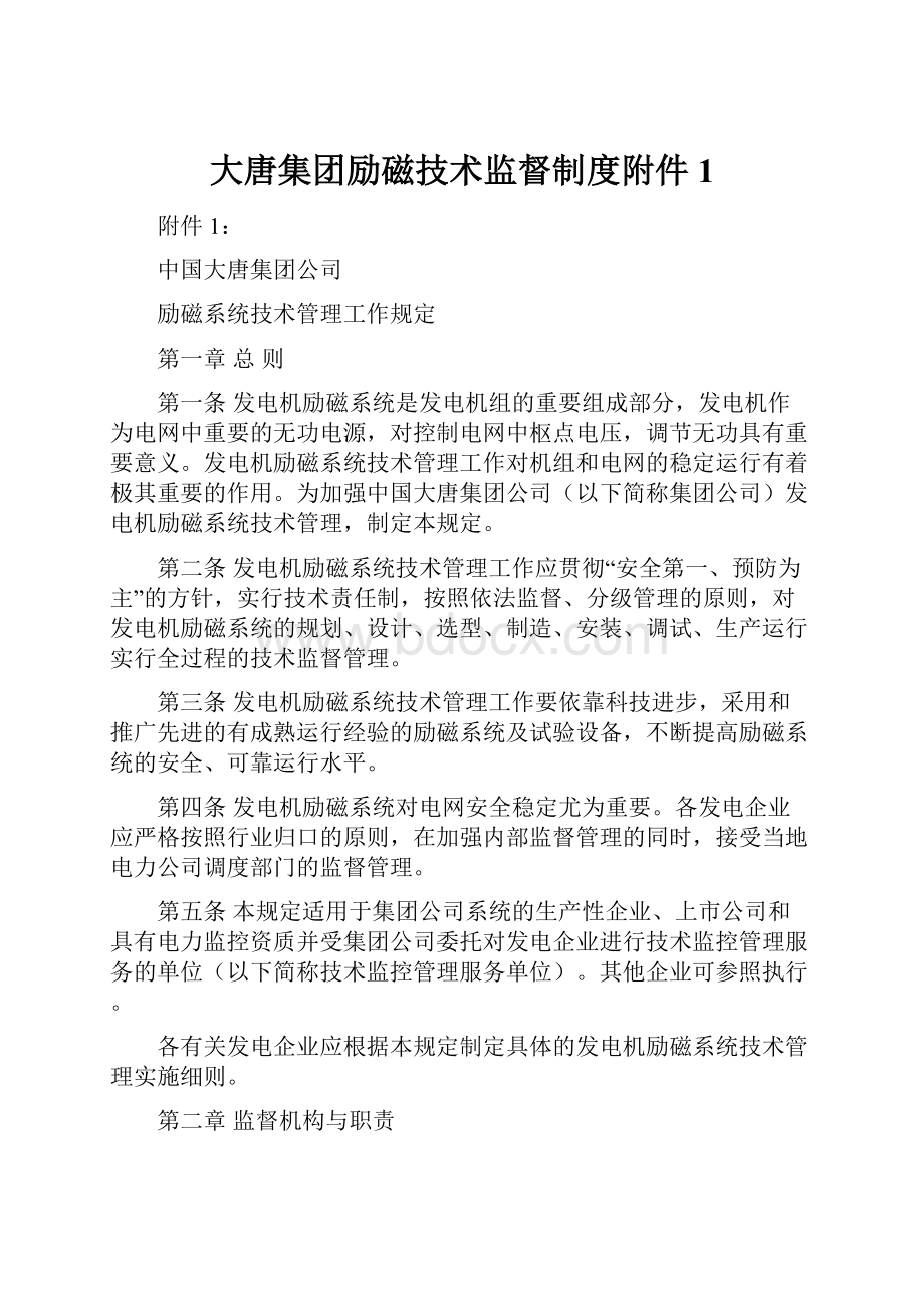 大唐集团励磁技术监督制度附件1.docx