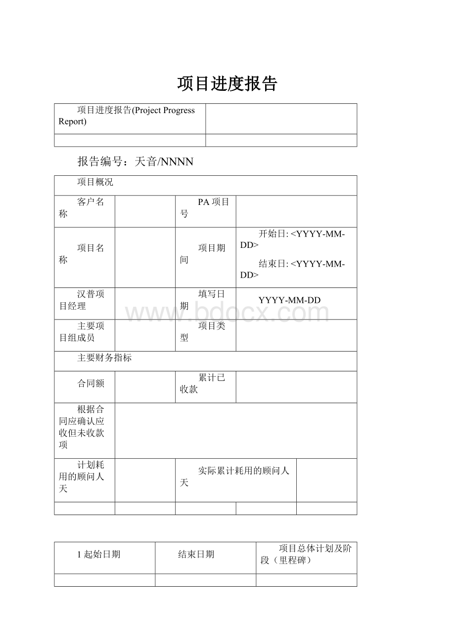 项目进度报告Word格式文档下载.docx_第1页